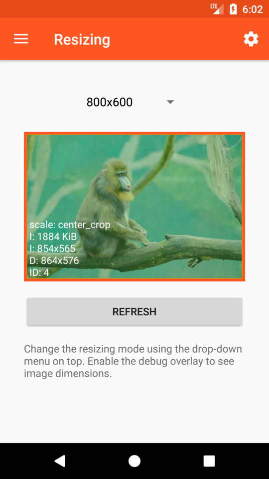 Showcase app with resized example image